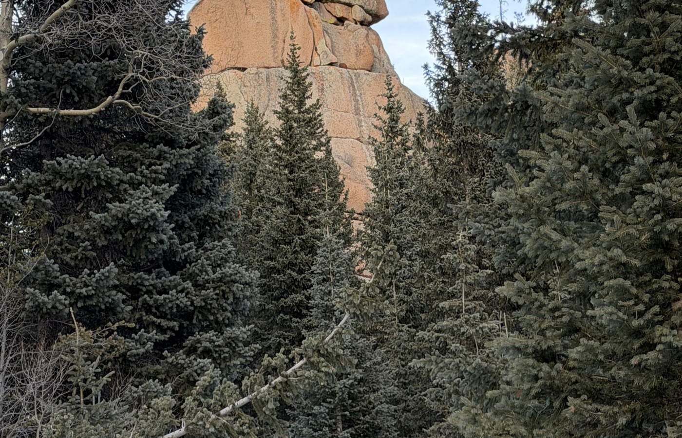 Snowy winter trail through trees on The Crags hike